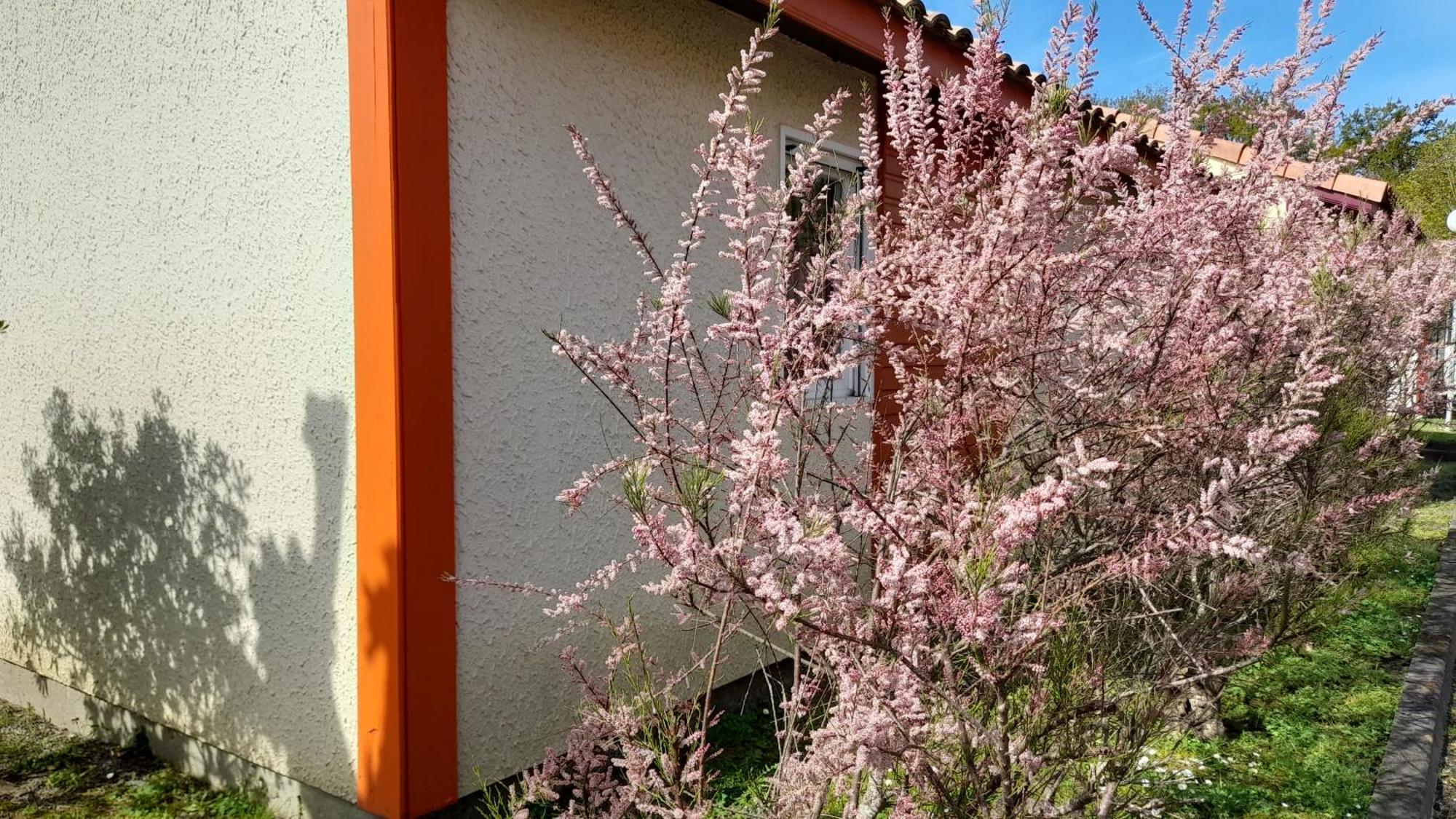 Residence Mes Amours D'Enfants - Les Villas Du Lac Soustons Buitenkant foto